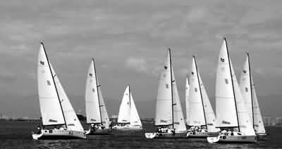 “厦门的帆船运动让人吃惊”