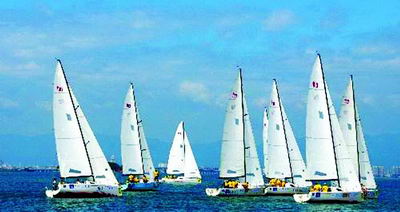 新年帆船赛元月2日扬帆