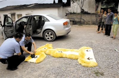 富婆开奥迪夜闯陵园 放劲爆音乐嗨药狂舞(图)