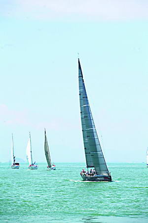 首届海峡杯帆船赛圆满收帆