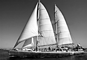 “看海”识气候法科研帆船启航