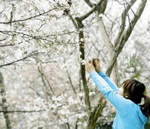 空气中也弥漫着春天的气息